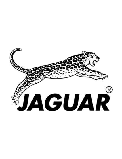 Collection image for: Jaguar
