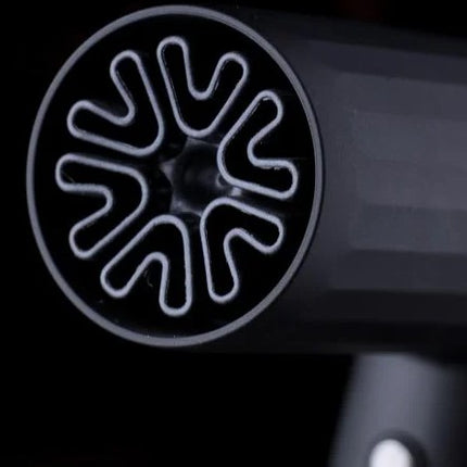 JRL Forte Pro 2020H Hair Dryer