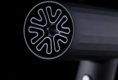 JRL Forte Pro 2020H Hair Dryer