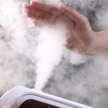 Skinmate Digital Ozone Steamer